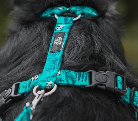 Szelki guard ,,Pandy" szer.taśmy 2cm