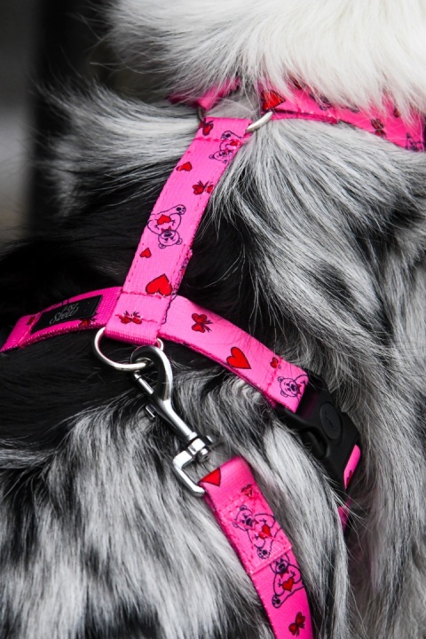 Szelki guard ,,Misiowasłodycz'' szer.taśy 2,5cm